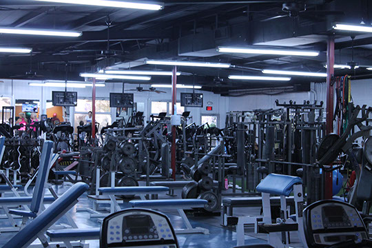 Hank's Gym