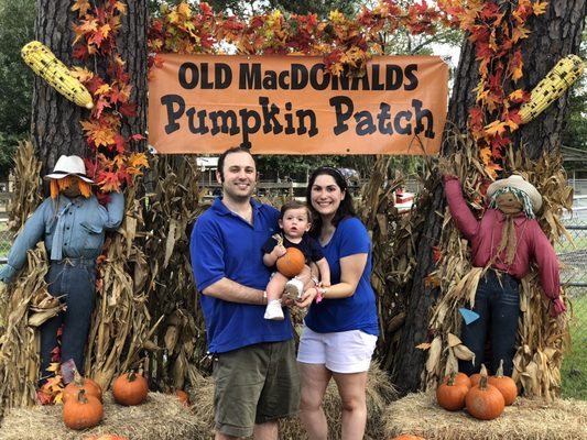 Old MacDonald's Pumpkin