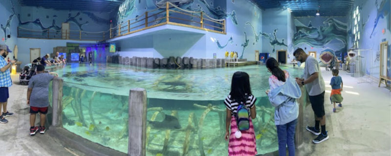 Houston Interactive Aquarium And Animal Preserve