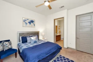 Condo of Blues in Downtown Houston BedRoom