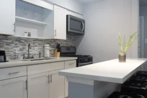 Cool PetFriendly Studio Apartment in Montrose kitchen