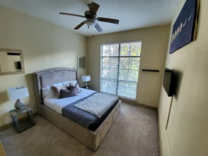 Houston Rodeo Perfect Galleria Experience + Pool bedroom